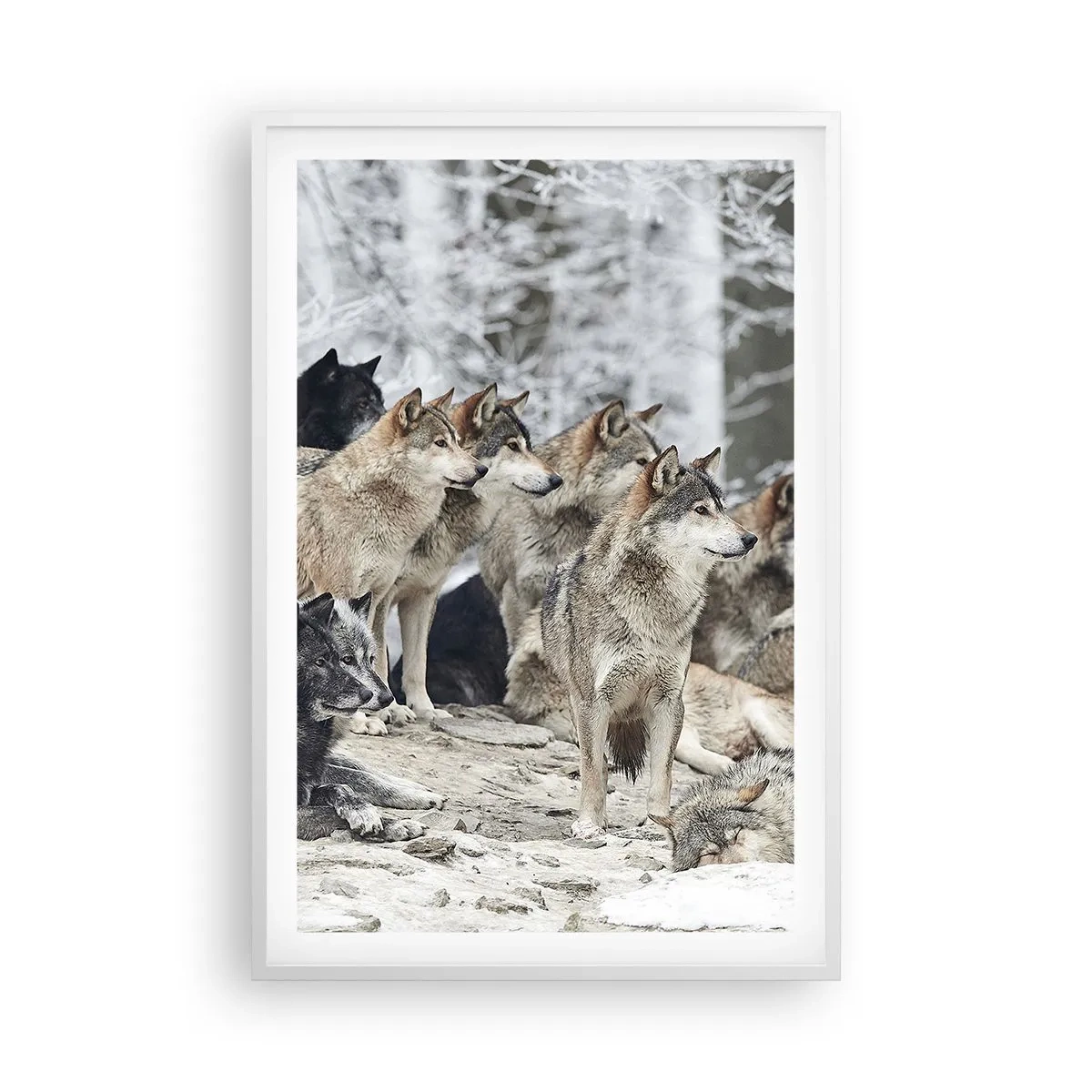 Affisch i vit ram - Familj och vänner - 61x91 cm