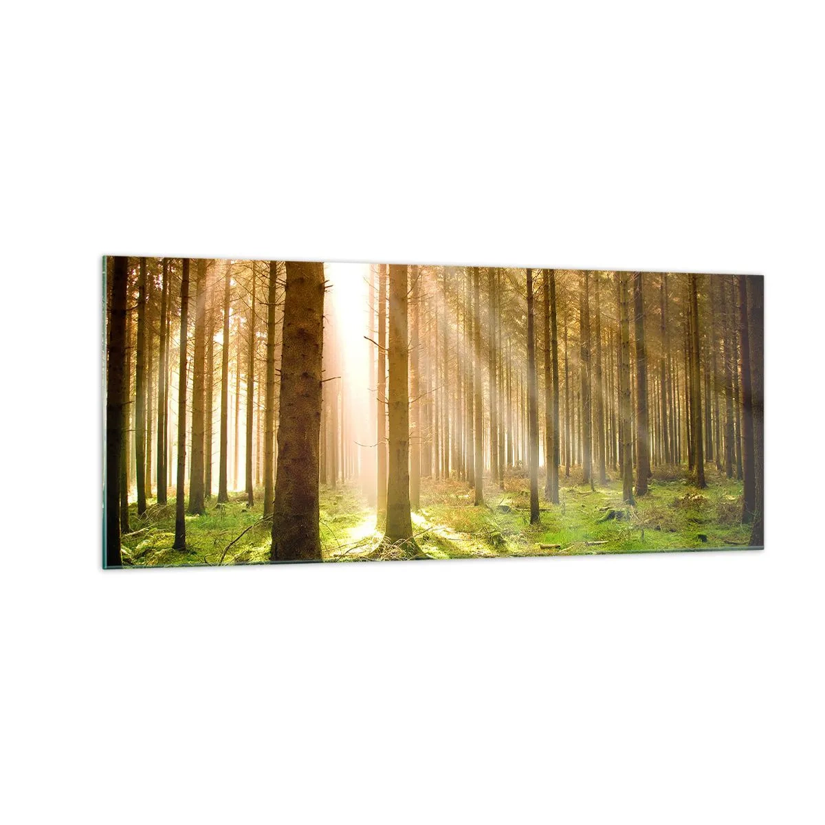 Glastavla - Bild på glas - Snart kommer alverna - 100x40 cm