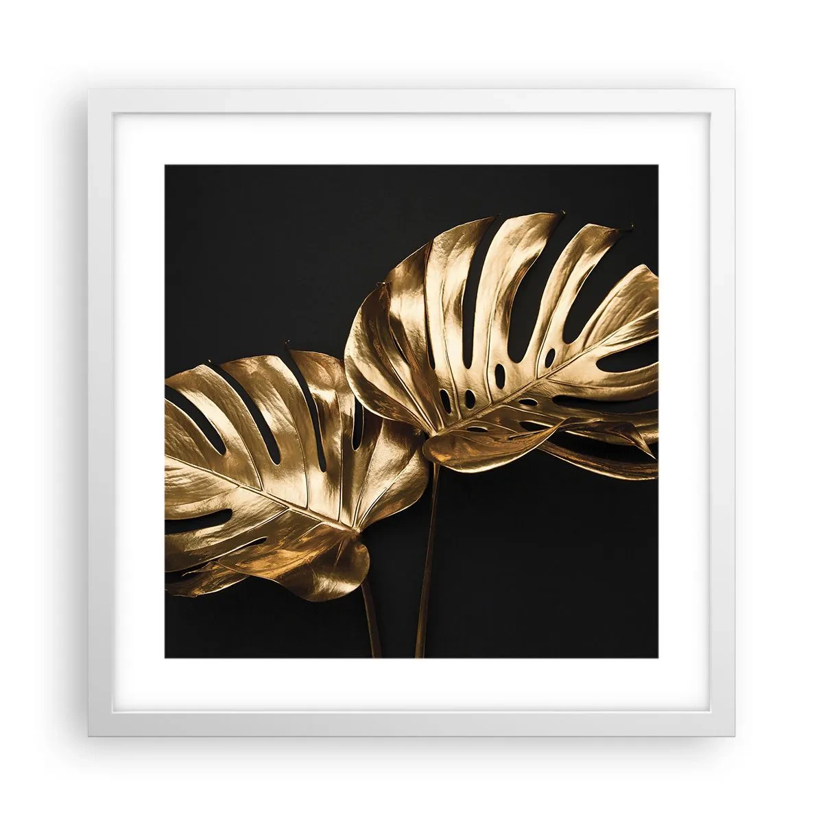 Affisch i vit ram - Naturens skatter - 40x40 cm