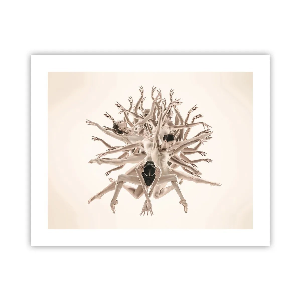 Affisch - Blommar i dansen - 50x40 cm