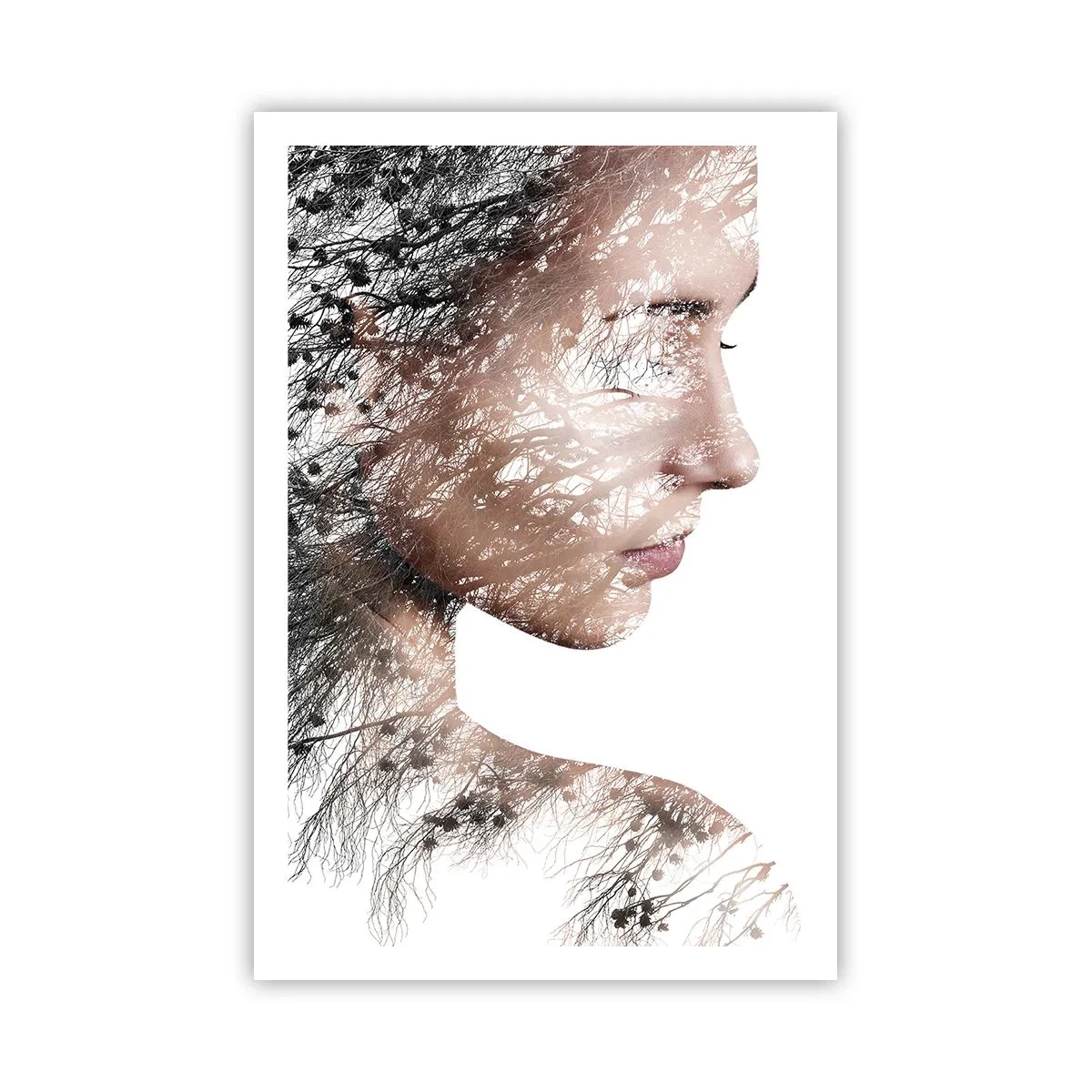 Affisch - Skogens ande - 61x91 cm