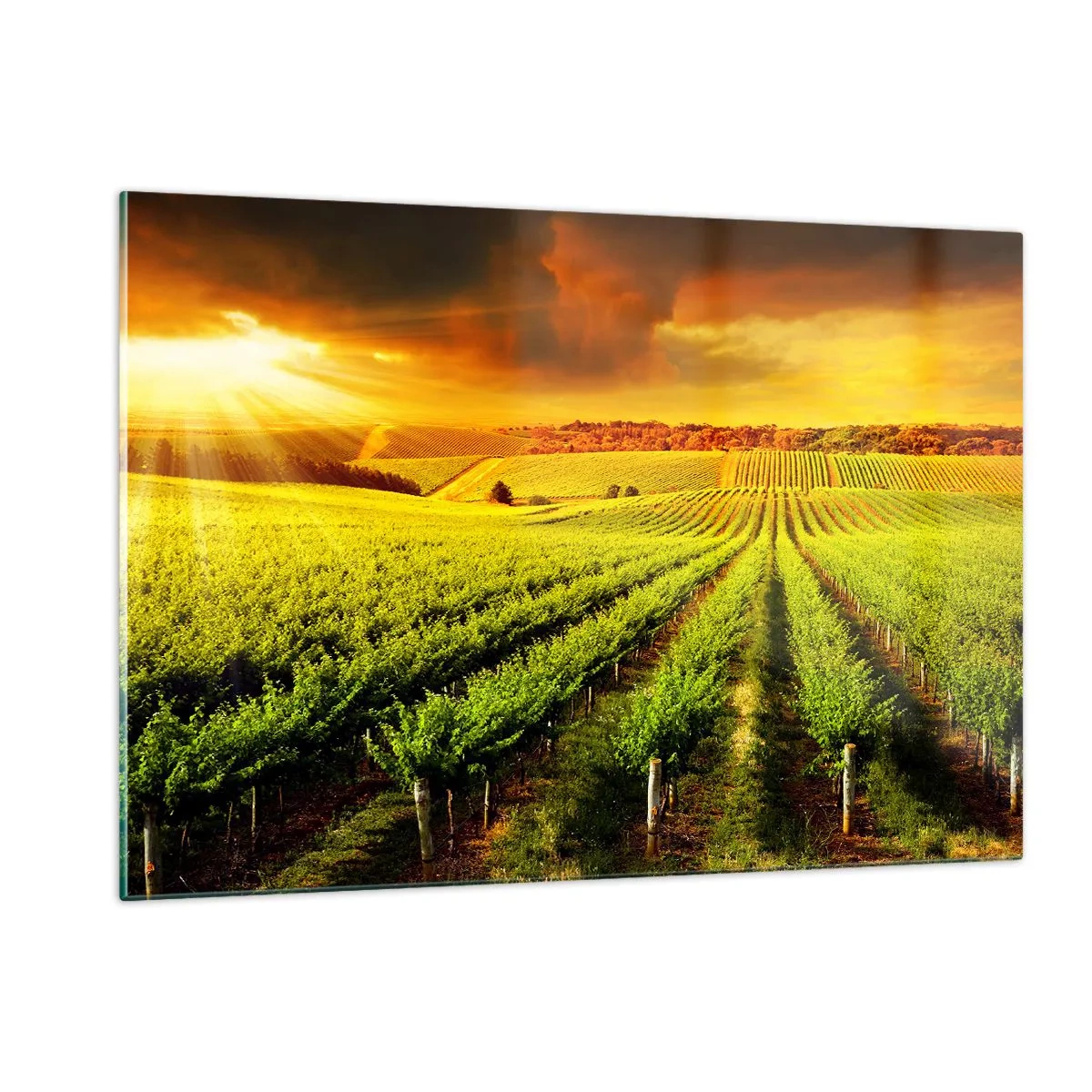 Glastavla - Bild på glas - Under australiensiska solen - 120x80 cm