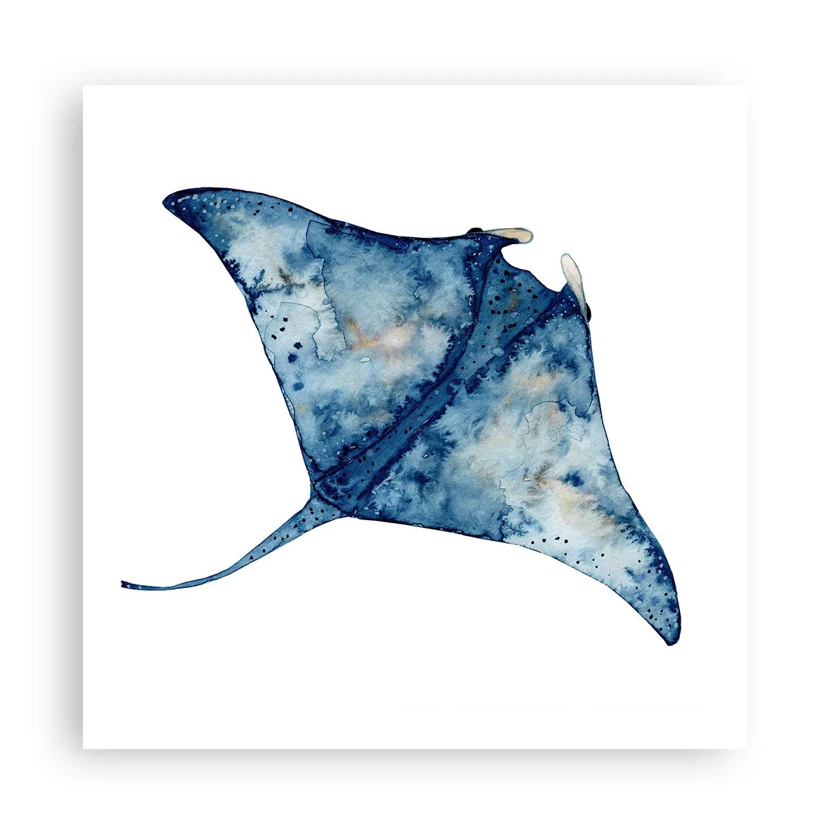 Affisch - Liv i blått - 60x60 cm