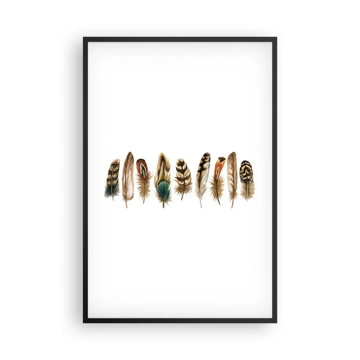 Affisch i svart ram - Fjädervariation - 61x91 cm