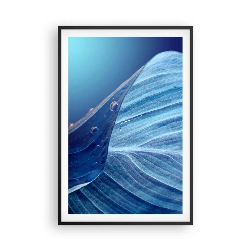 Affisch i svart ram - Dolda droppar av blått - 61x91 cm