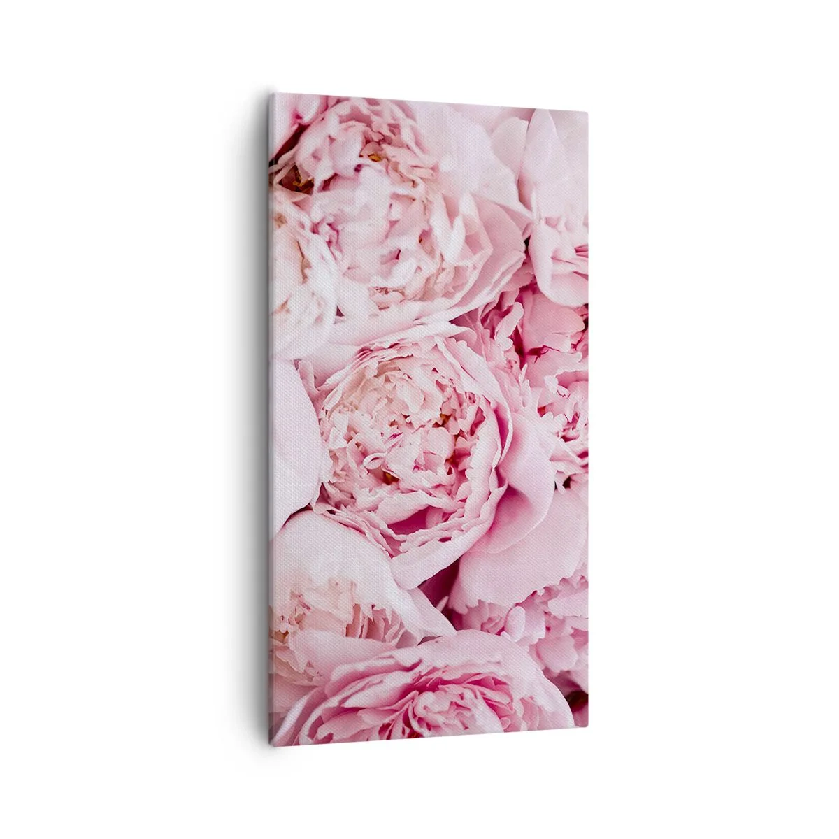 Canvastavla - Bild på duk - Hopklämda och doftande - 55x100 cm