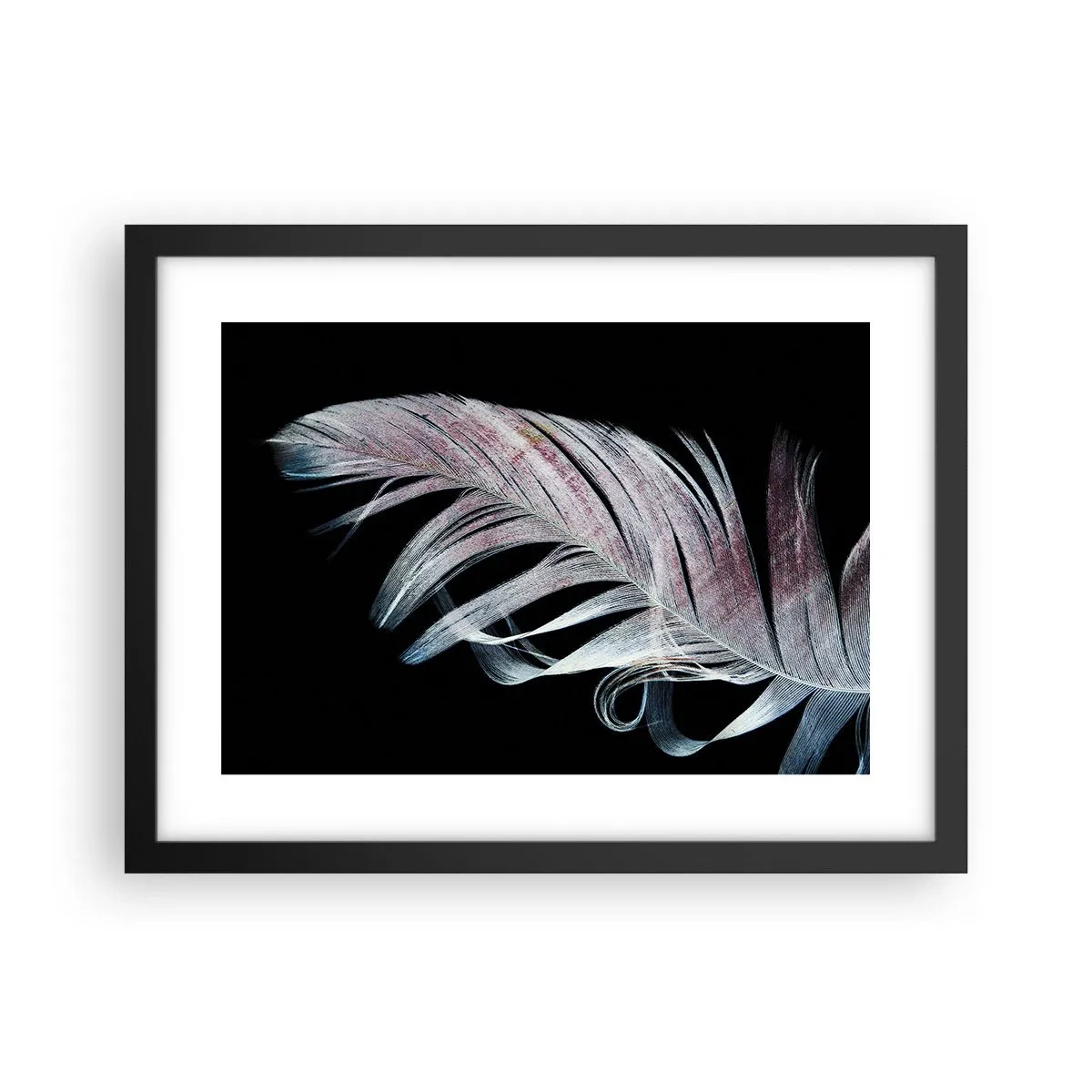 Affisch i svart ram - Tänk på smekning - 40x30 cm