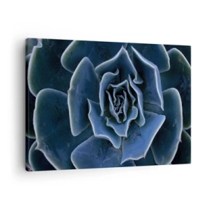 Canvastavla - Bild på duk - Närbild av en grön suckulent rosett - 70x50cm - Öknens blomma - Modern väggdekoration för vardagsrum och sovrum ARTTOR