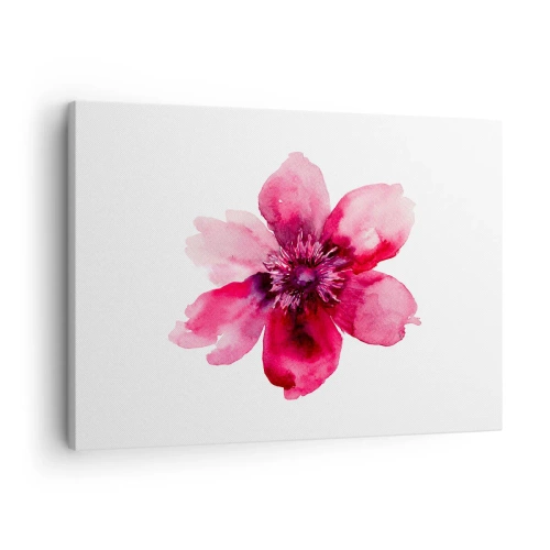 Canvastavla - Bild på duk - Rosa blomma i akvarellstil på vit bakgrund - 70x50cm - Doftande karminkyss - Modern väggdekoration för vardagsrum och sovrum ARTTOR