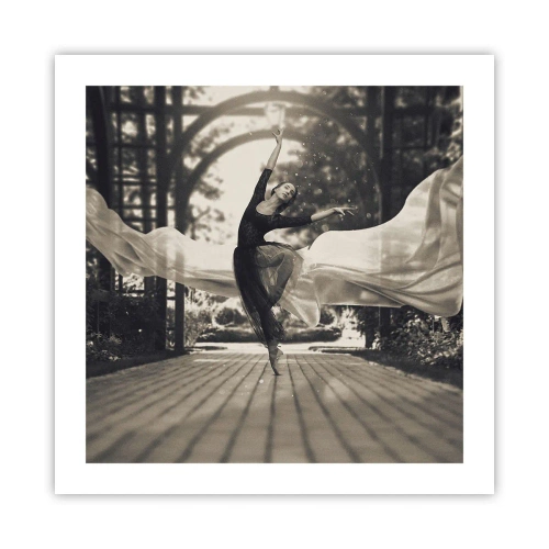 Affisch - Trädgårdsandens dans - 50x50 cm