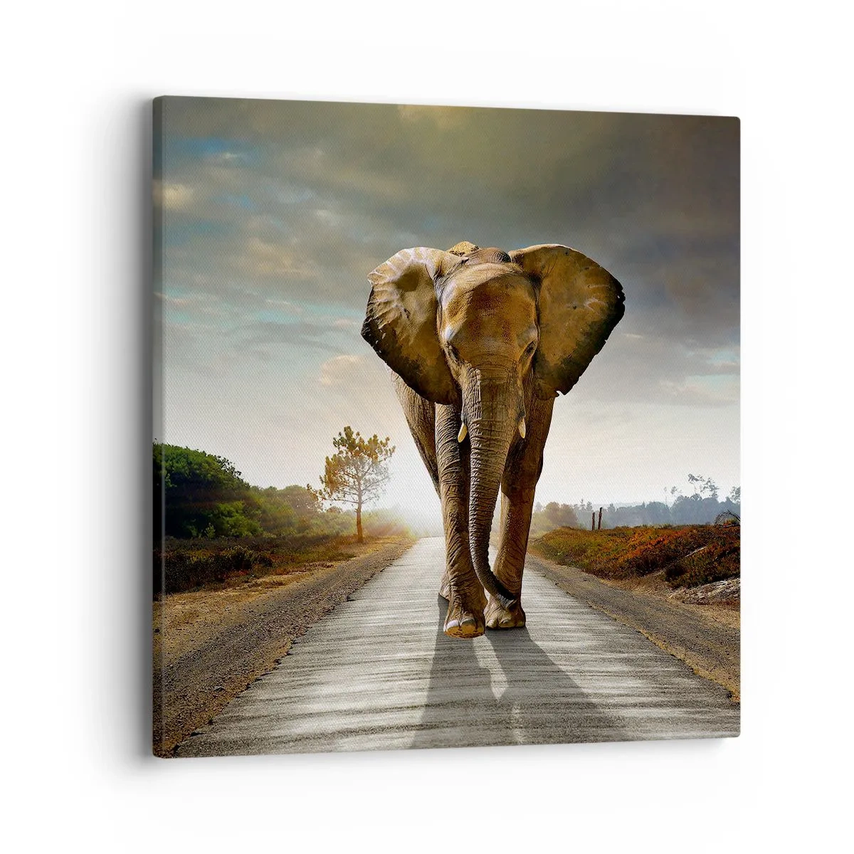 Canvastavla - Bild på duk - Inte alls i en porslinsbutik - 40x40 cm