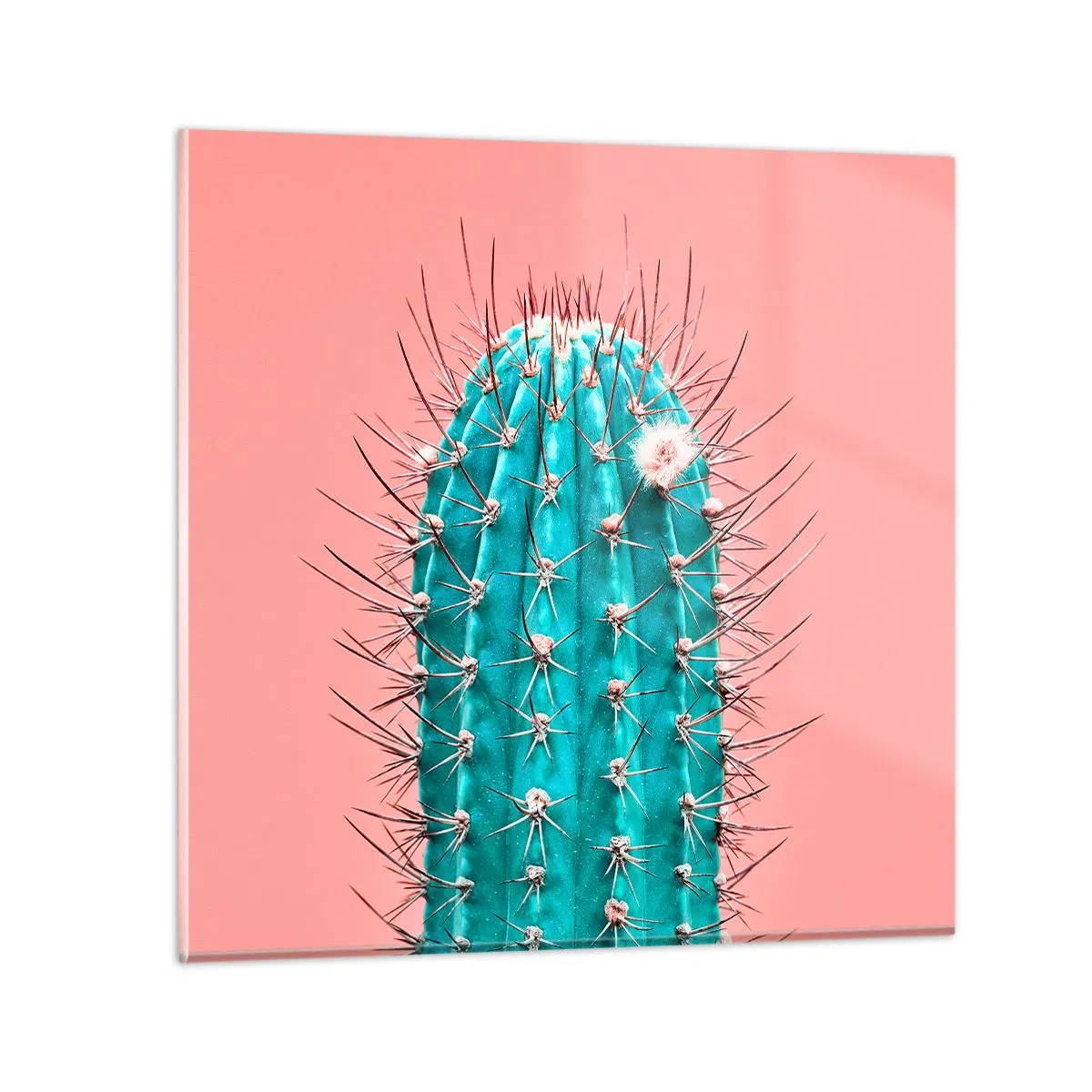 Glastavla - Bild på glas - Titta bara - 40x40 cm