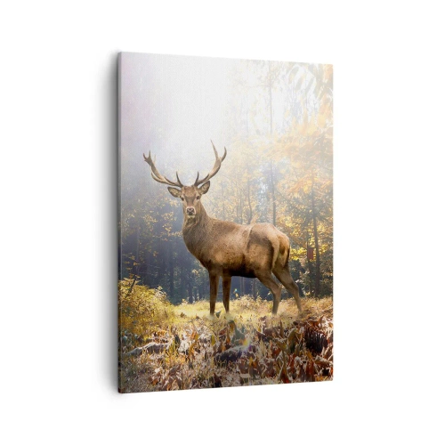 Canvastavla - Bild på duk - I fullt majestät - 50x70 cm