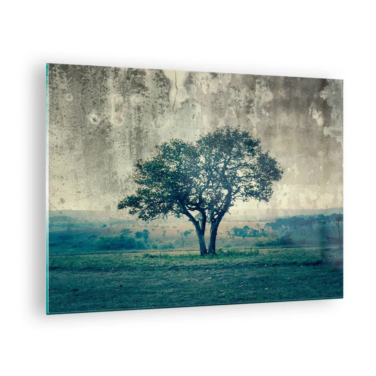 Glastavla - Bild på glas - Ett ensamt träd i ett vintagelandskap - 70x50cm - Äppelträd på blå betesmark? - Modern väggdekoration för vardagsrum och sovrum ARTTOR