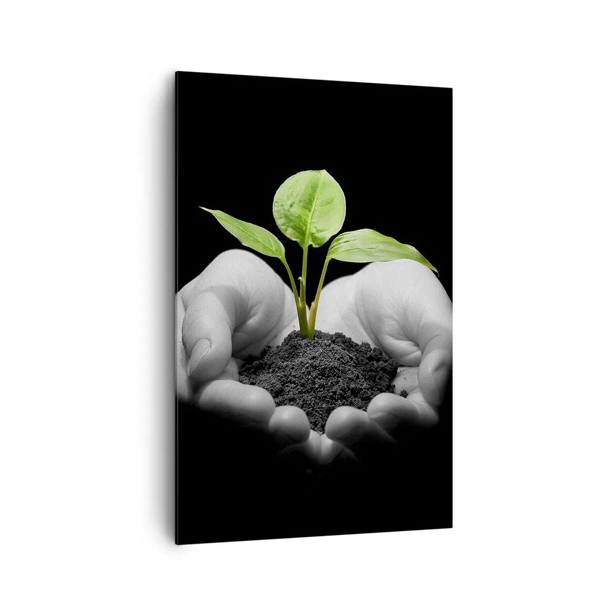 Canvastavla - Bild på duk - Jag älskar naturen och skyddar den - 80x120 cm