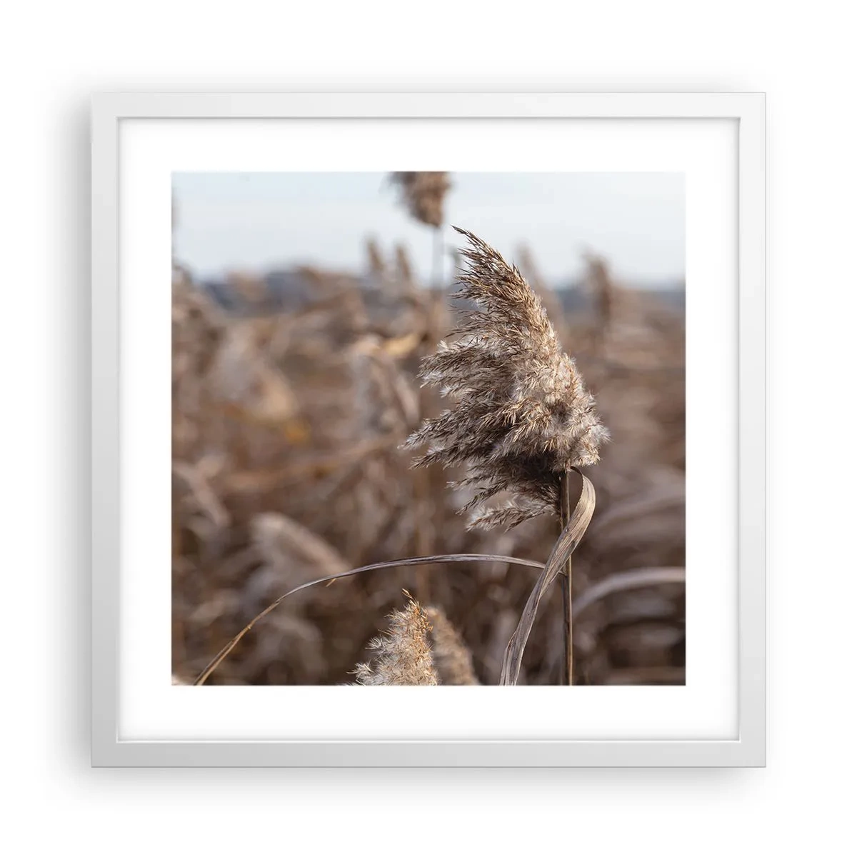 Affisch i vit ram - Dags att flyga bort med vinden - 40x40 cm