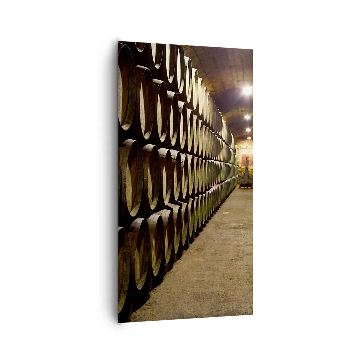 Canvastavla - Bild på duk - Det är bra att kunna ligga - 65x120 cm