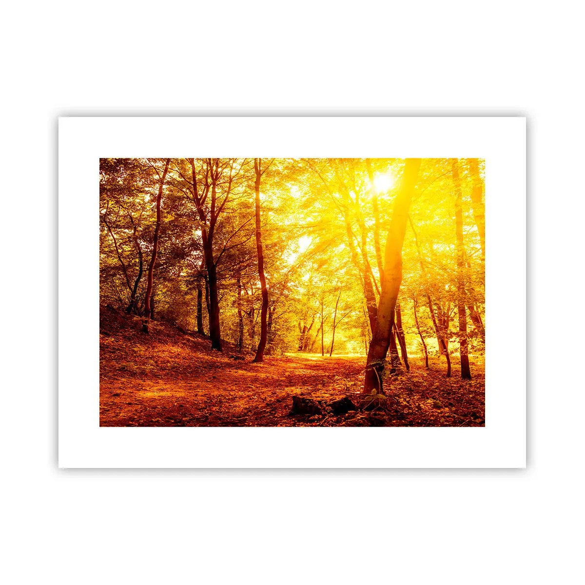 Affisch - Mot guldgläntan - 40x30 cm