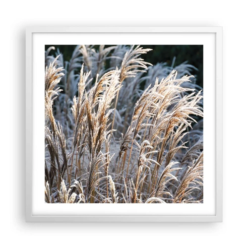 Affisch i vit ram - Frostprydda - 50x50 cm