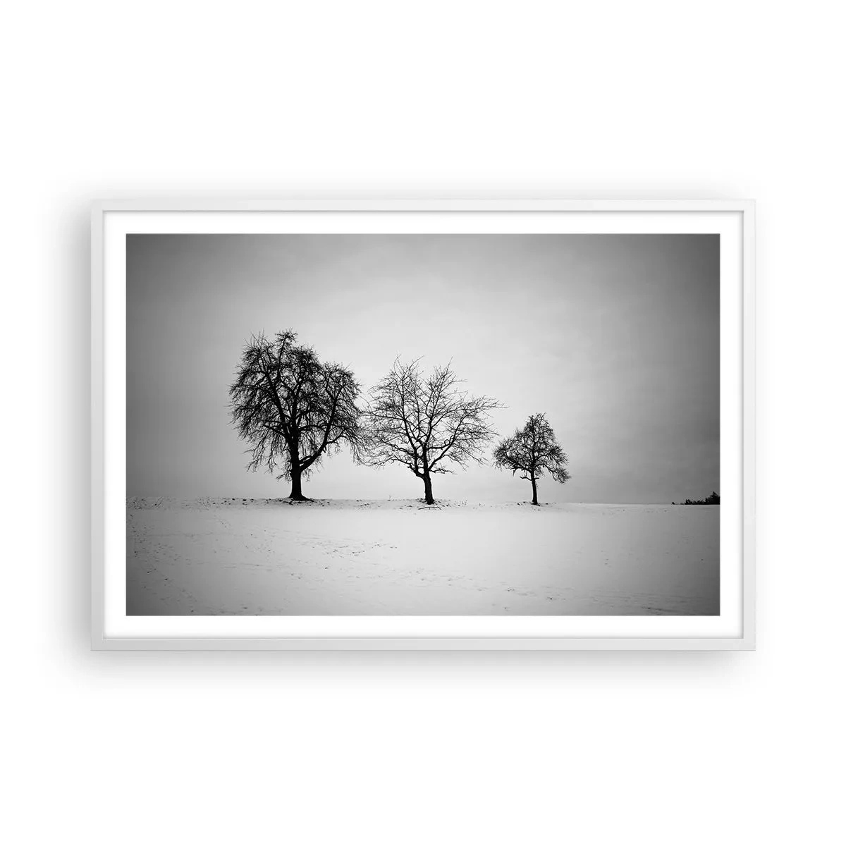 Affisch i vit ram - Vad drömmer de om? - 91x61 cm