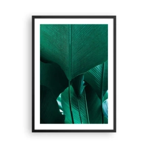 Affisch i svart ram - Närbild av stora gröna blad som visar struktur och textur. - 50x70cm - Vända mot ljuset - Modern väggdekoration för vardagsrum och sovrum ARTTOR