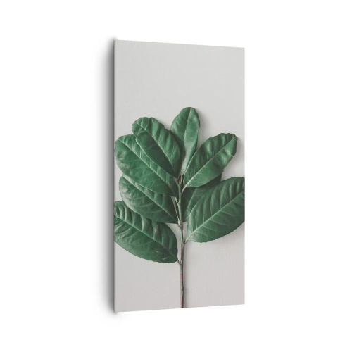 Canvastavla - Bild på duk - Själva naturens bild - 65x120 cm