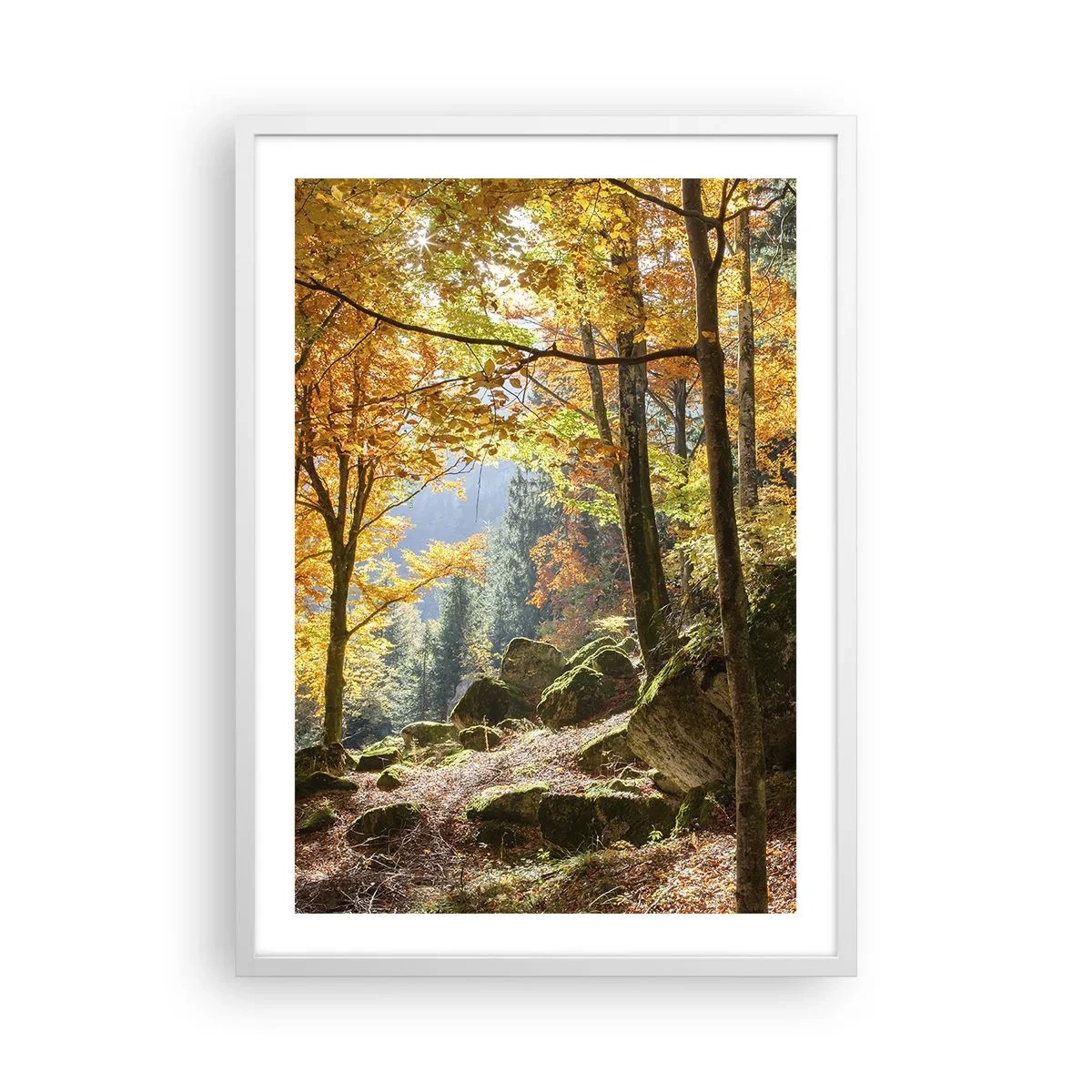 Affisch i vit ram - Dags att vila - 50x70 cm