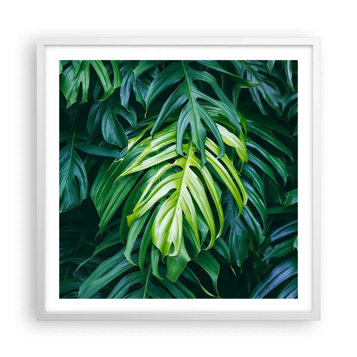 Affisch i vit ram - Doppa sig i fräschheten - 60x60 cm