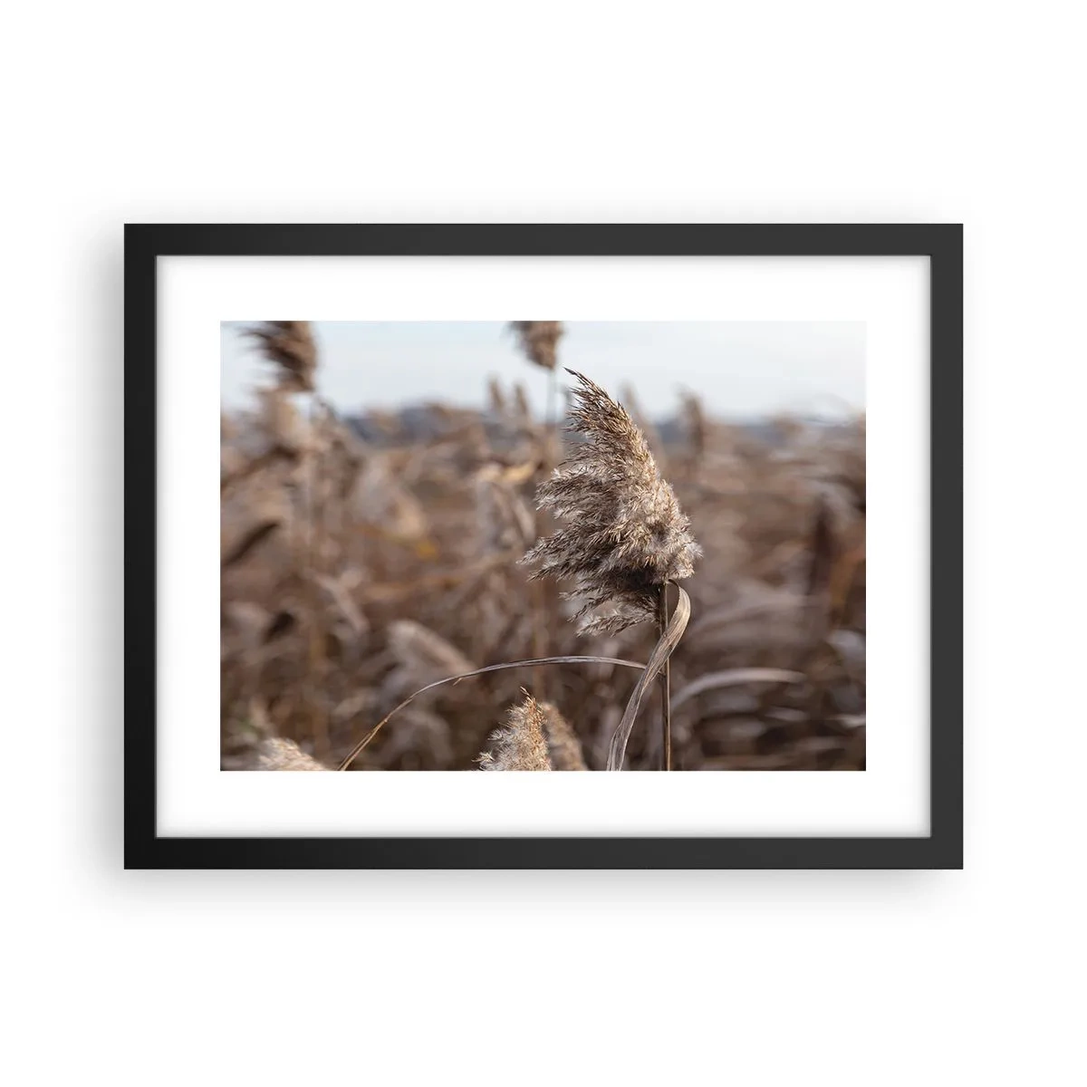 Affisch i svart ram - Dags att flyga bort med vinden - 40x30 cm