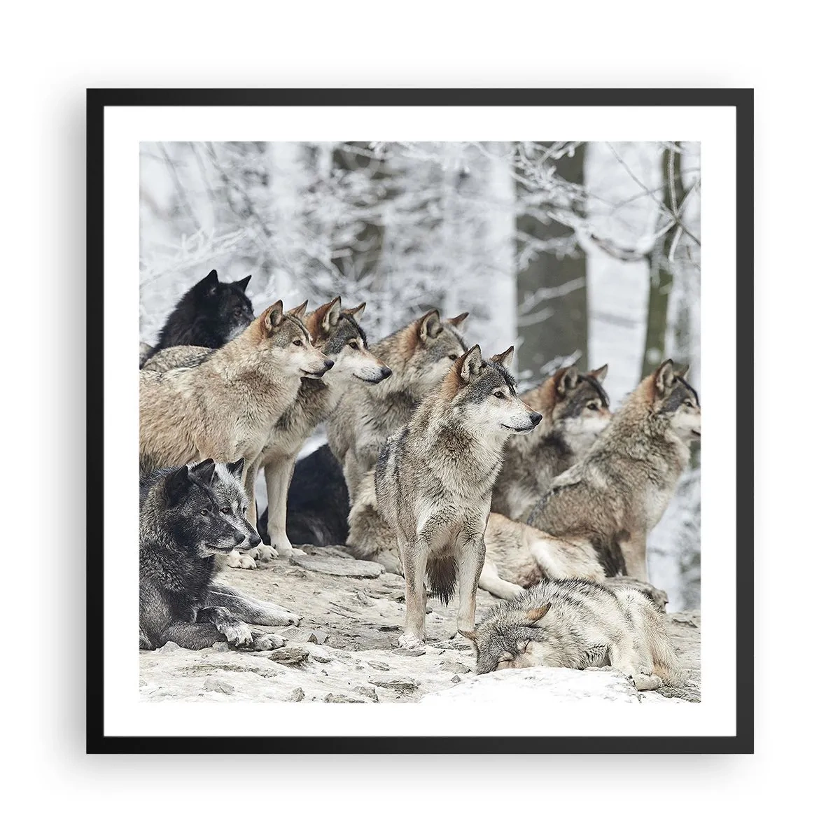 Affisch i svart ram - Familj och vänner - 60x60 cm