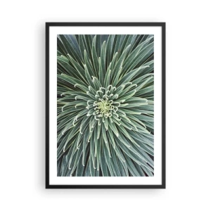 Affisch i svart ram - En närbild av en grön växt med symmetriska blad. - 50x70cm - Stjärna föds - Modern väggdekoration för vardagsrum och sovrum ARTTOR