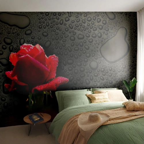 Fototapet Premium Sand - Röd och svart - Blommor, Reste sig, Vatten - 400x280 cm