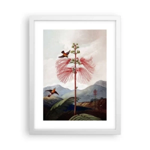 Affisch i vit ram - I ett tropiskt paradis - 30x40 cm