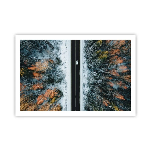 Affisch - Genom vinterskogen - 91x61 cm