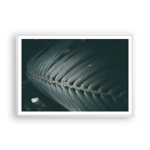 Affisch i vit ram - Naturens precision - 100x70 cm