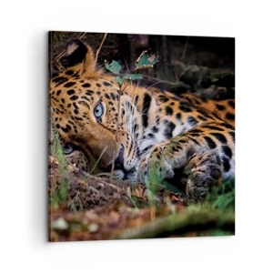 Canvastavla - Bild på duk - Tro mig - 60x60 cm