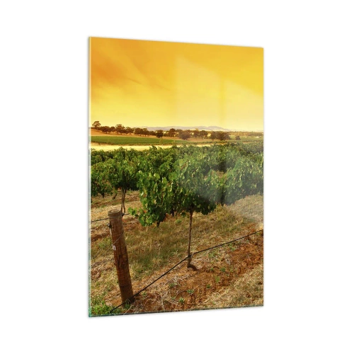 Glastavla - Bild på glas - Dricka solen - 50x70 cm