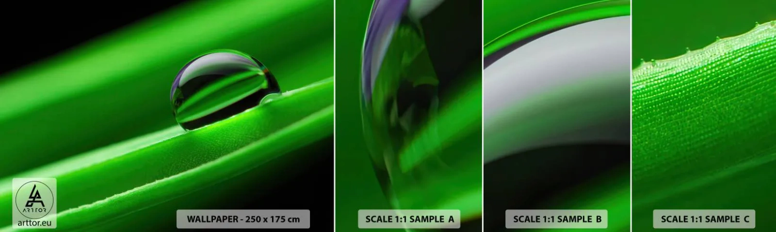 Fototapet Prov Standard Eco - Livet på nära håll - Abstraktion, Grafik, En droppe vatten - 100x30 cm