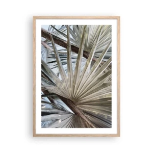 Affisch i ram av ljusek - Solfjädrarna i tropikerna - 50x70 cm