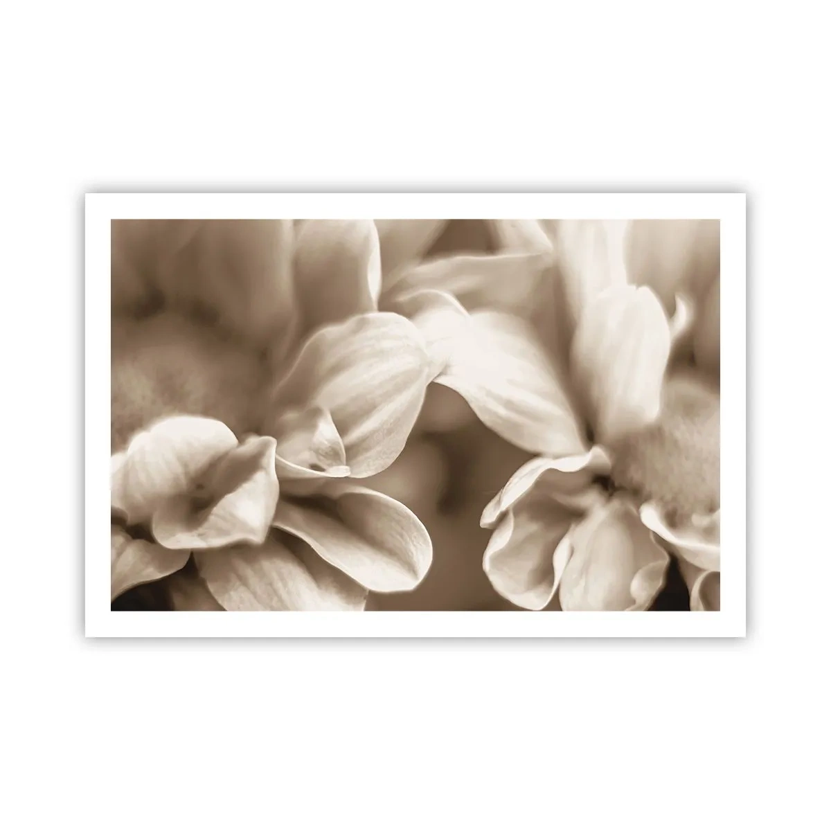 Affisch - Milda som ett leende - 91x61 cm