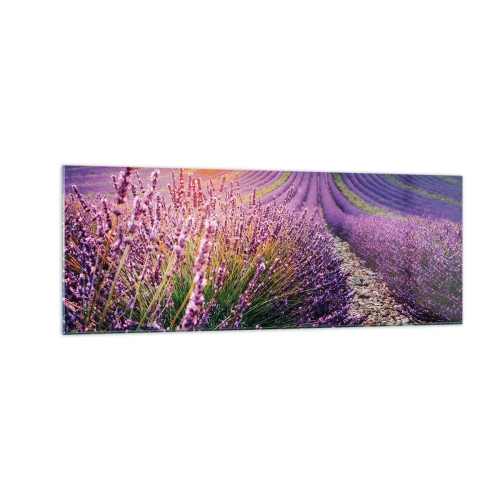 Glastavla - Bild på glas - Doftande åkermark - 140x50 cm