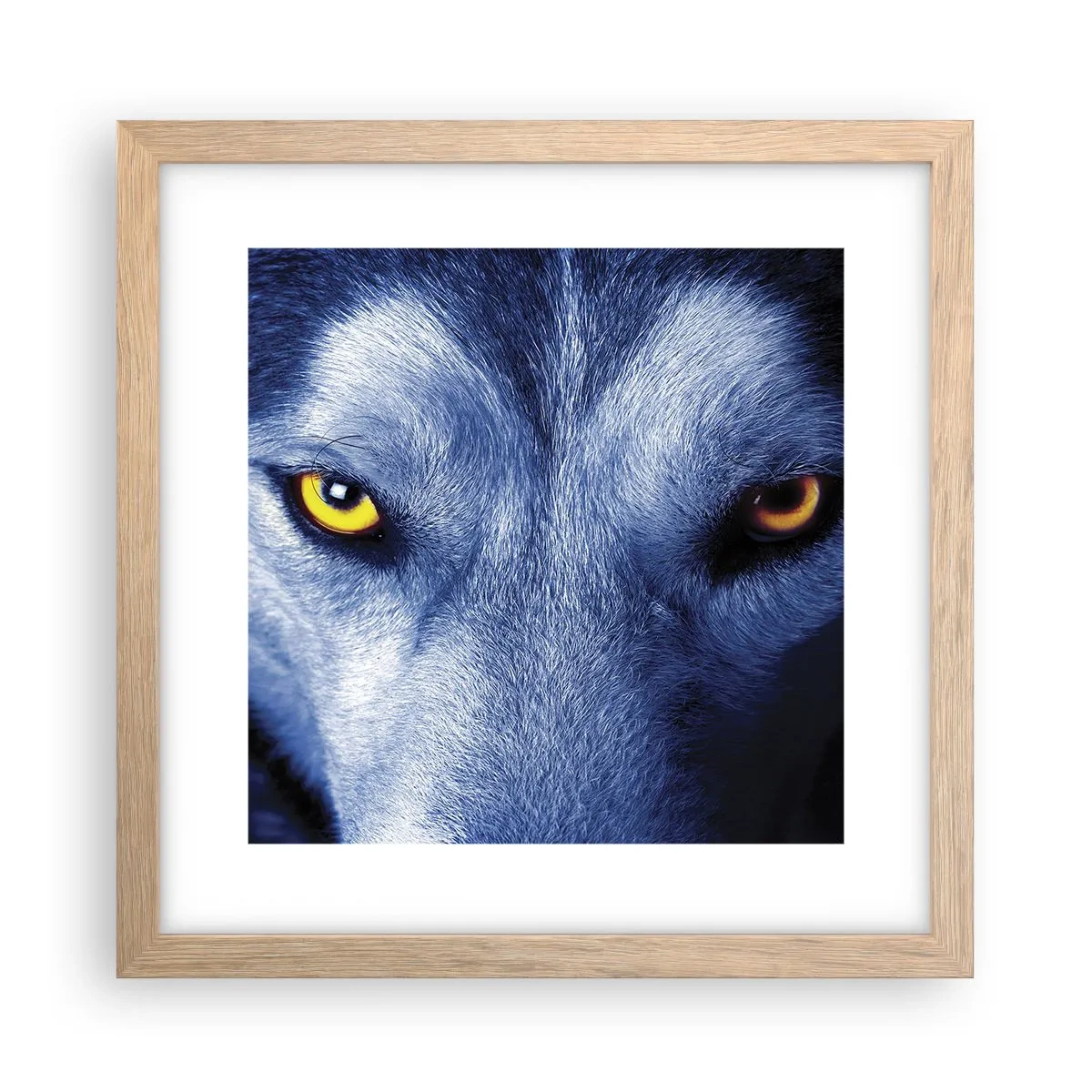 Affisch i ram av ljusek - Hypnotiserade titt - 30x30 cm