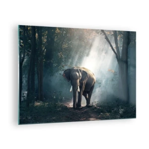 Glastavla - Bild på glas - En elefant som går genom skogen med solljus som strömmar genom träden. - 70x50cm - Lugn promenad - Modern väggdekoration för vardagsrum och sovrum ARTTOR