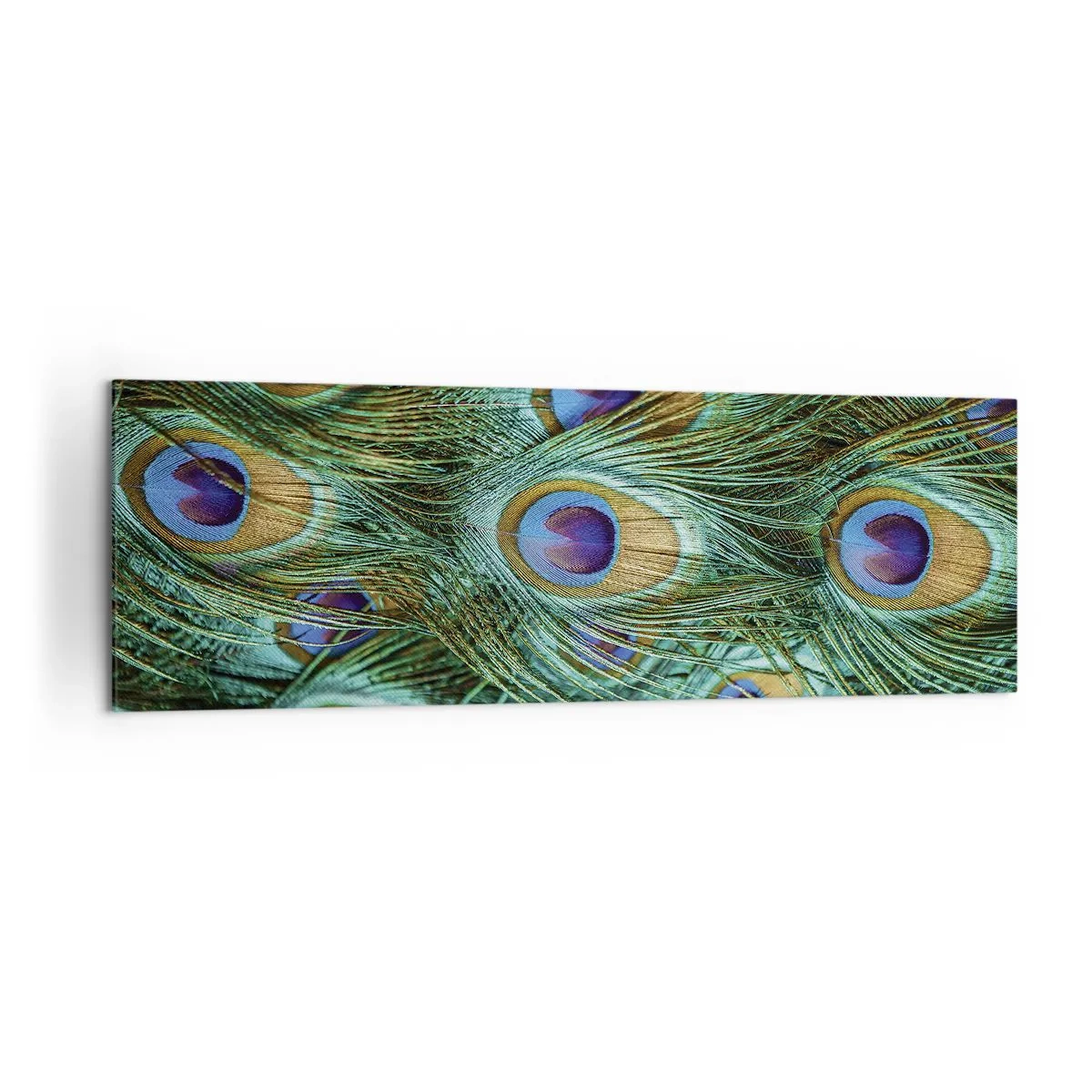 Canvastavla - Bild på duk - Påfågels blick - 160x50 cm