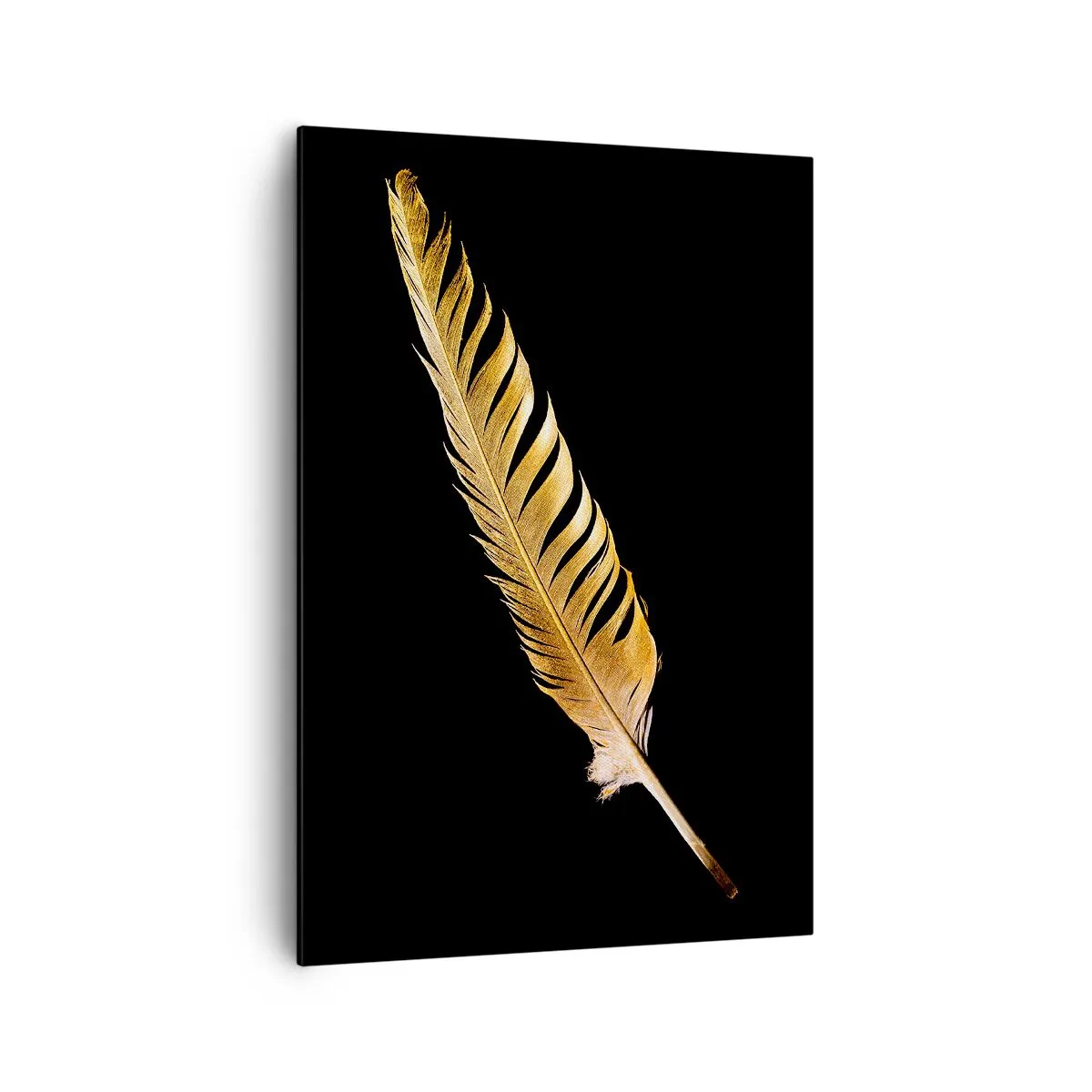 Canvastavla - Bild på duk - Fjäder... - 70x100 cm
