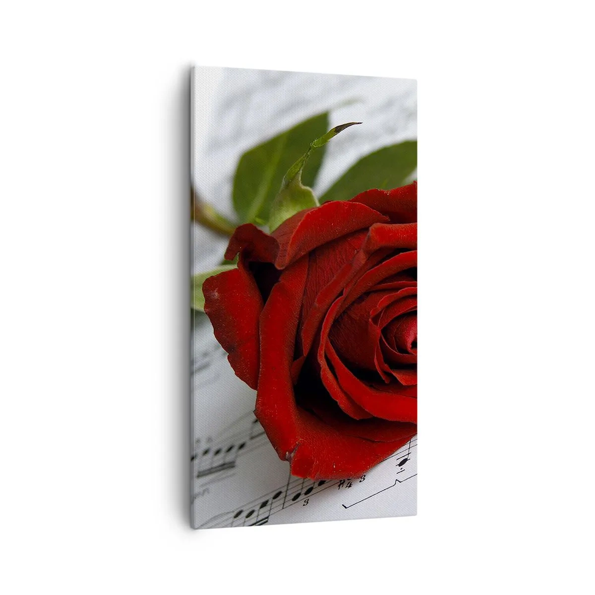 Canvastavla - Bild på duk - Känslornas musik i scharlakansröd - 55x100 cm
