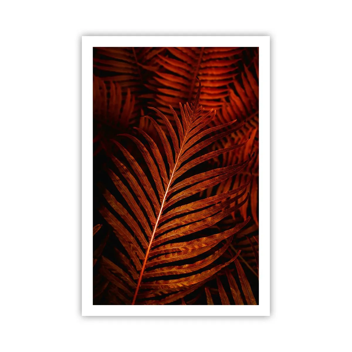 Affisch - Livets glöd - 61x91 cm