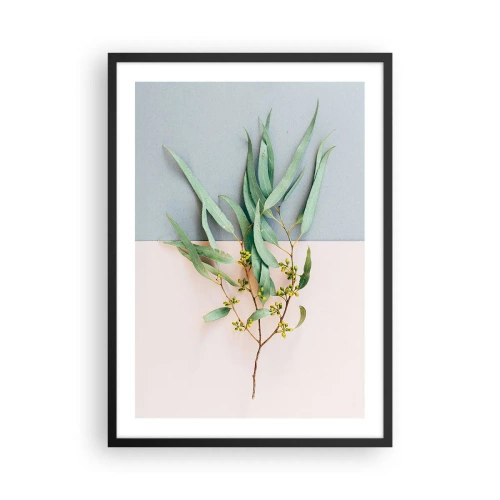 Affisch i svart ram - En kvist eukalyptus på en pastellfärgad bakgrund - 50x70cm - Pastellens subtilitet - Modern väggdekoration för vardagsrum och sovrum ARTTOR