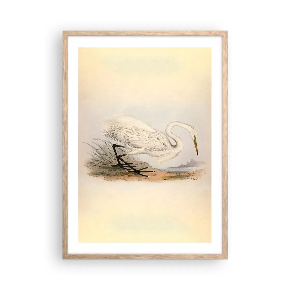 Affisch i ram av ljusek - En dam i vassen - 50x70 cm