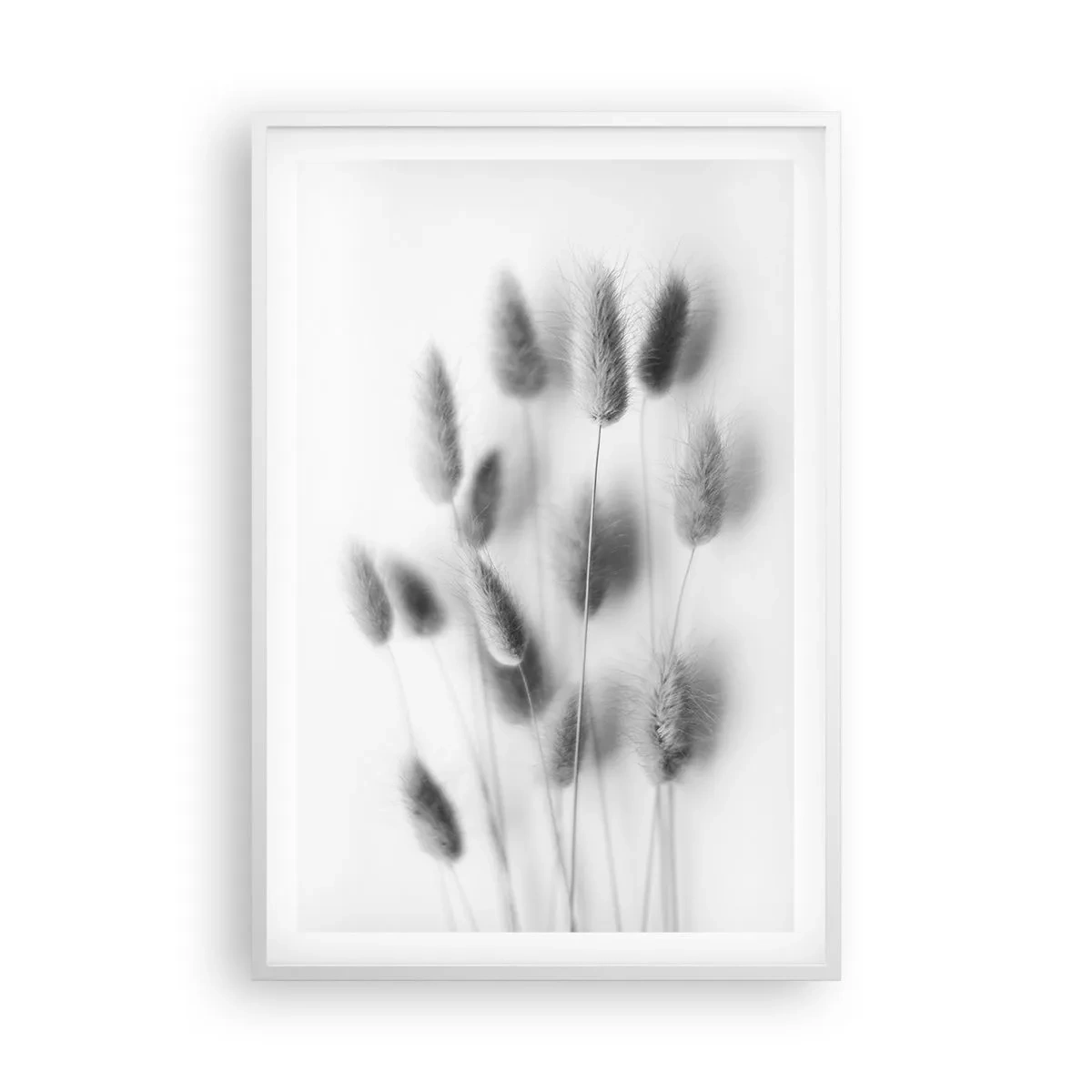 Affisch i vit ram - Fluffigt gräs - 61x91 cm